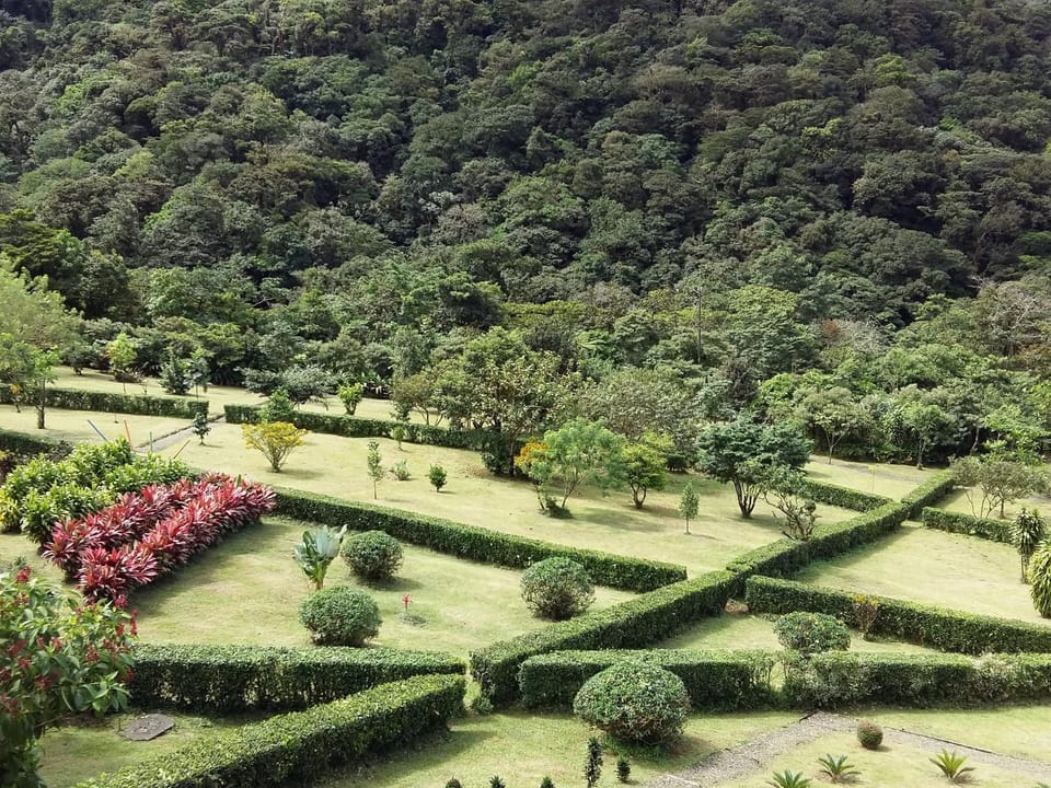 Day, Garden view