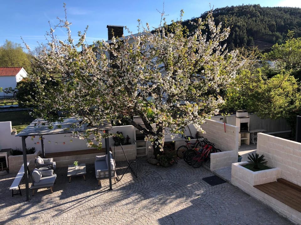 Property building, Patio, Day