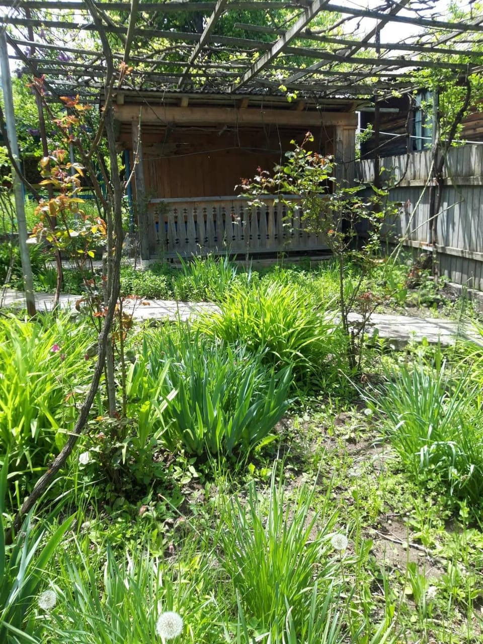 Воржоми Mzetamze Bed and Breakfast in Georgia