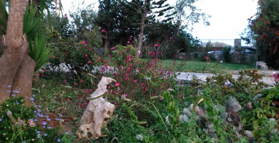 Garden, Garden view
