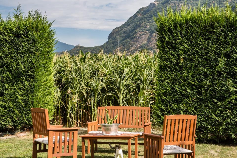 Garden view
