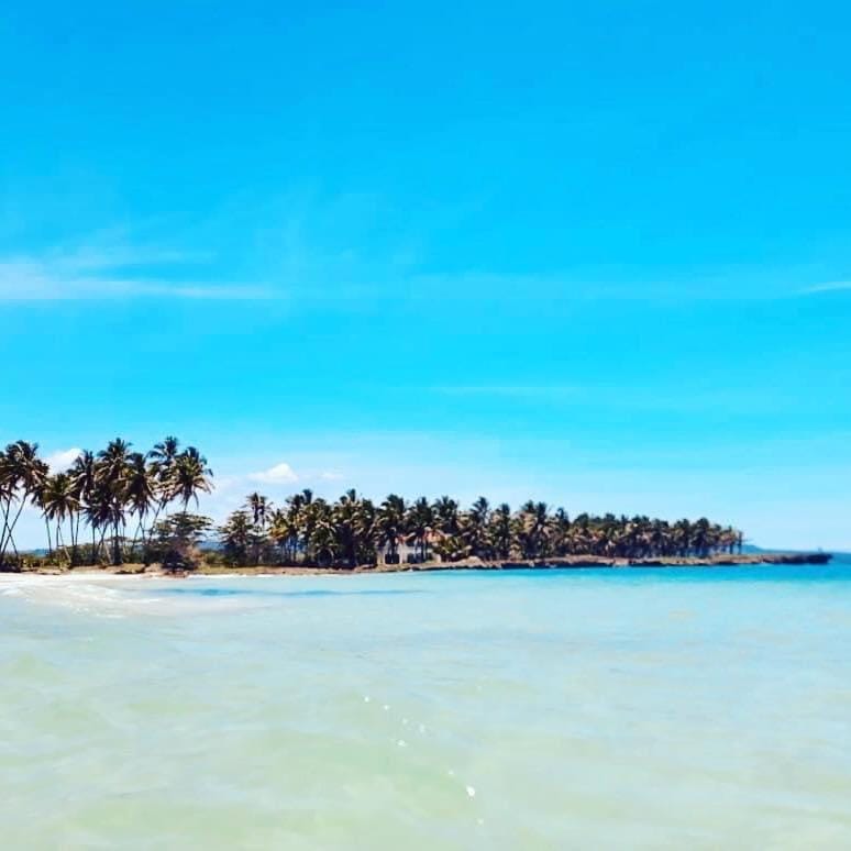 Beach, Beach