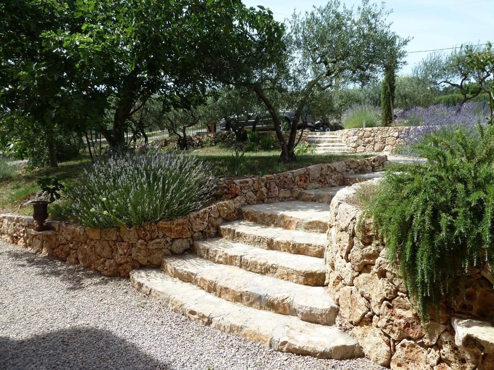 Day, Natural landscape, Garden