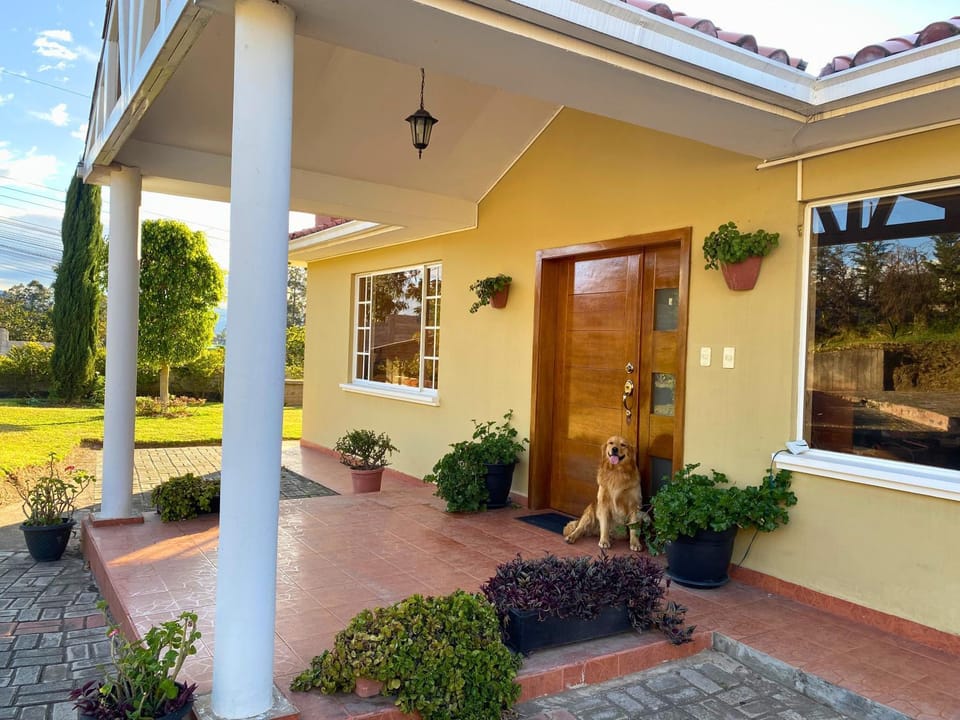 Property building, Pets