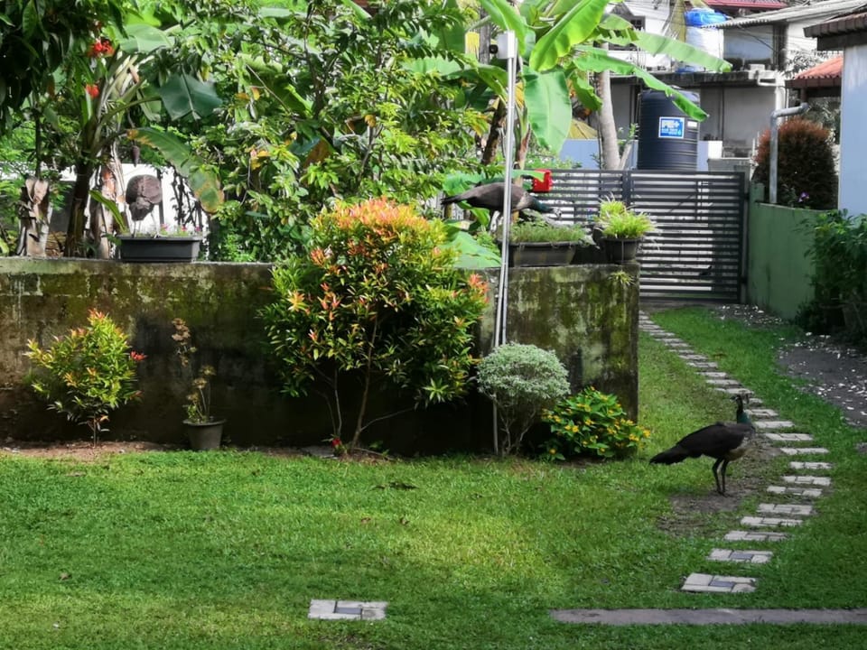 Villa Kivi Bed and Breakfast in Hikkaduwa