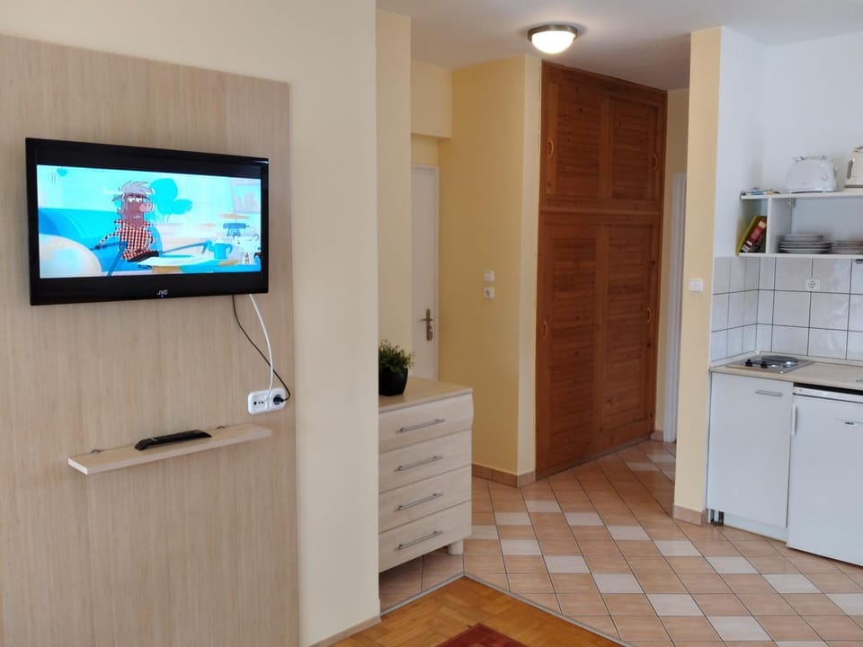 TV and multimedia