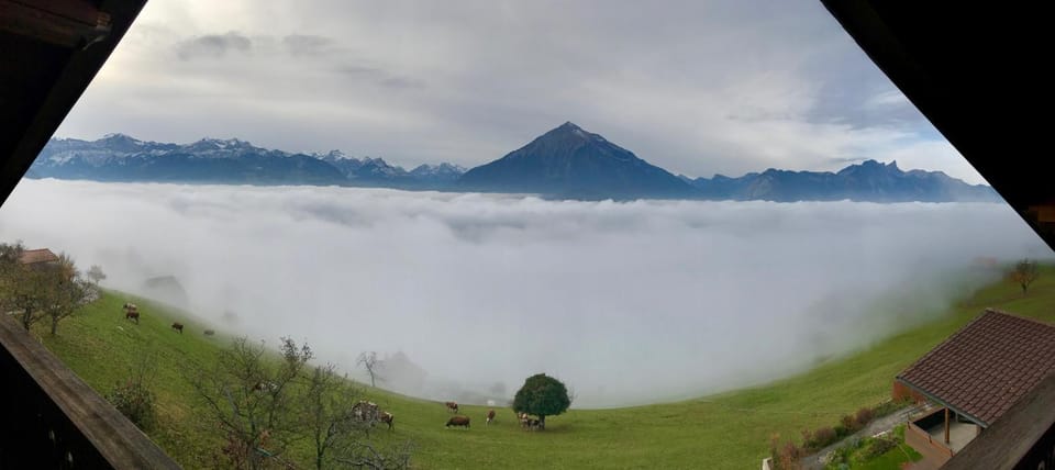 Nearby landmark, Day, Natural landscape, View (from property/room), Mountain view
