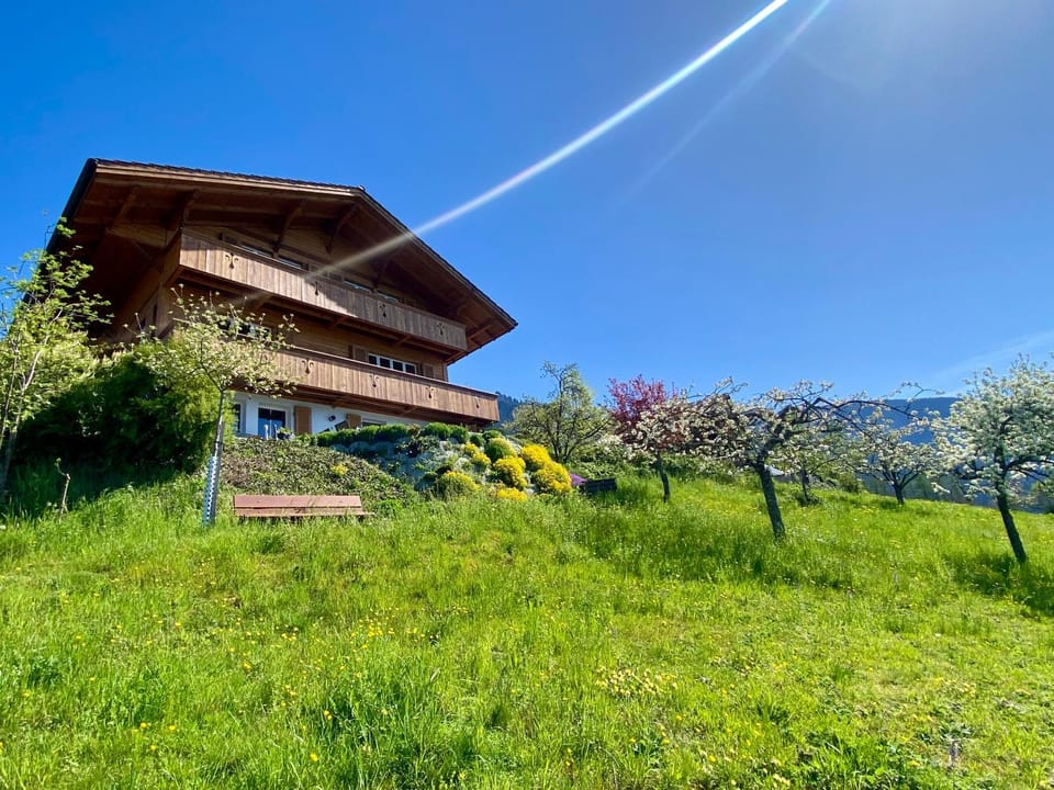 Property building, Spring