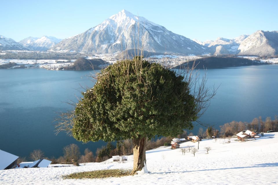 Nearby landmark, Natural landscape, Winter, Lake view, Mountain view