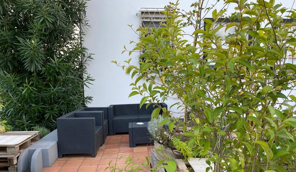 Spring, Day, Garden
