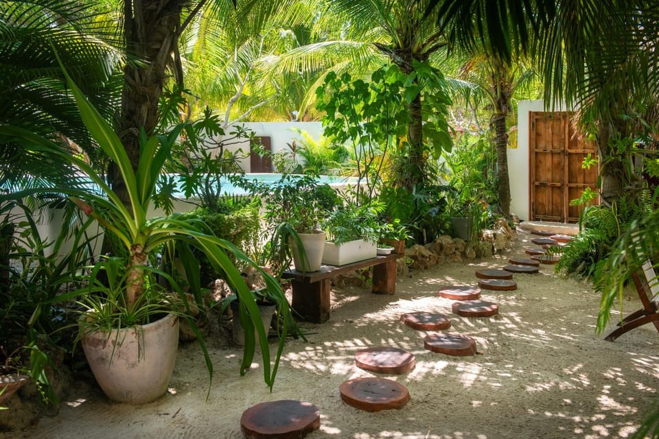 Garden view