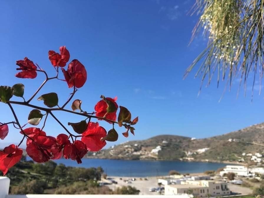 Helios Pension Apartment hotel in Decentralized Administration of the Aegean