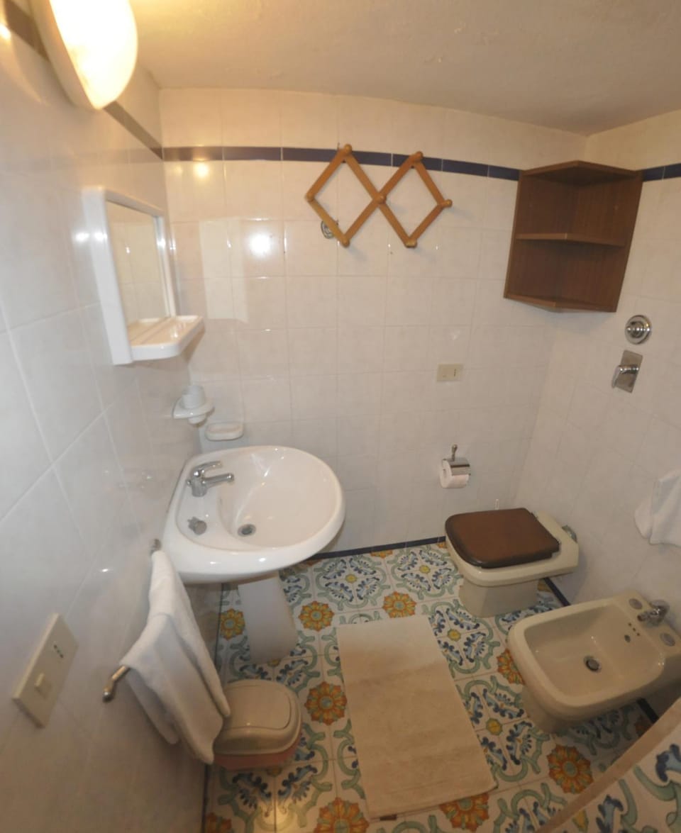Shower, Toilet, Bathroom, bidet
