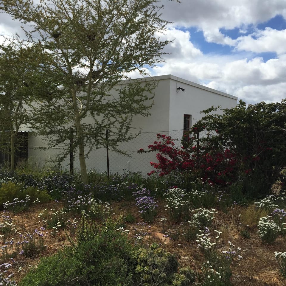 Property building, Garden, Garden view