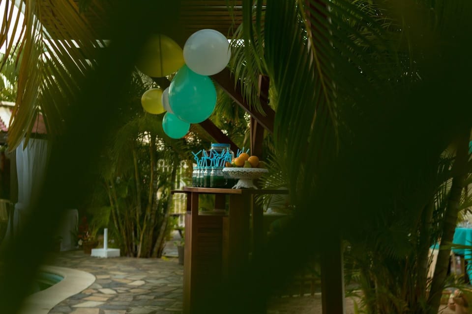 Garden view