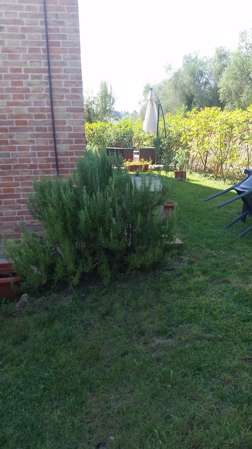 Property building, Garden