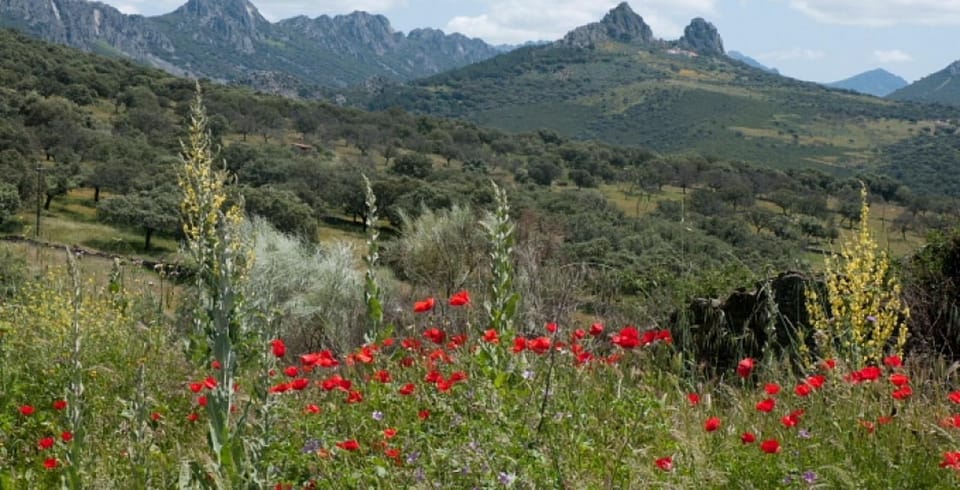 Mountain view