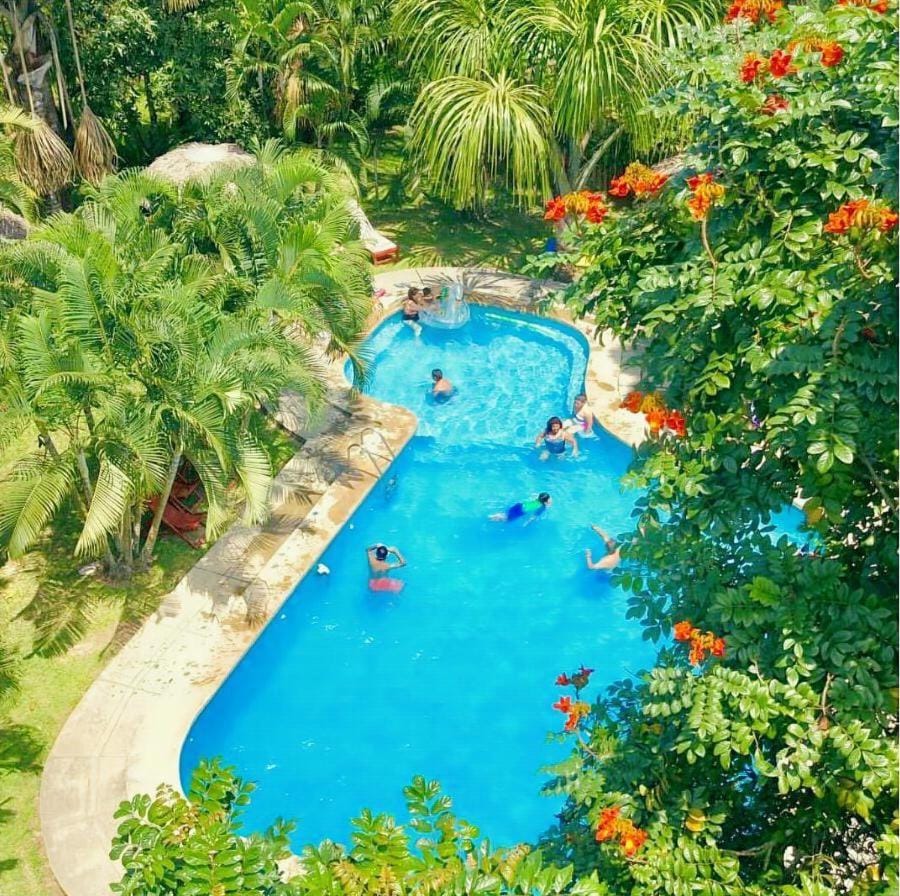 Swimming pool