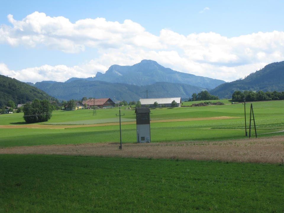 Natural landscape