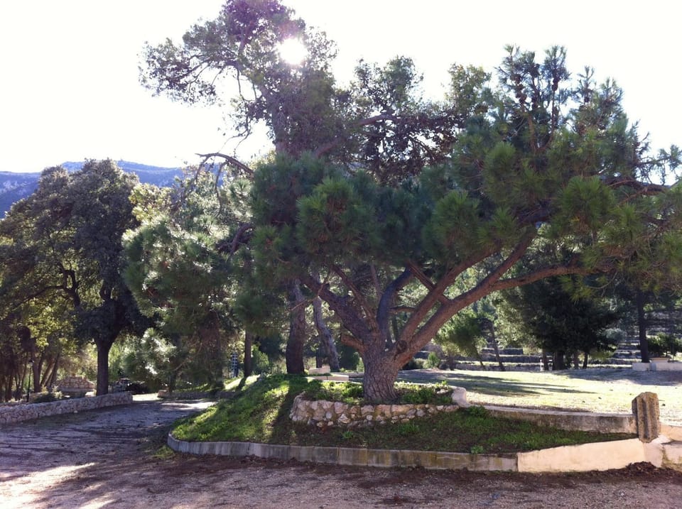 Garden, Area and facilities