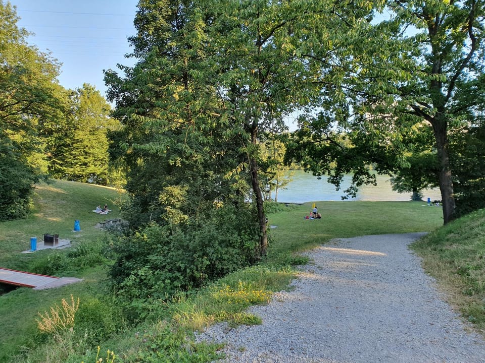 Natural landscape