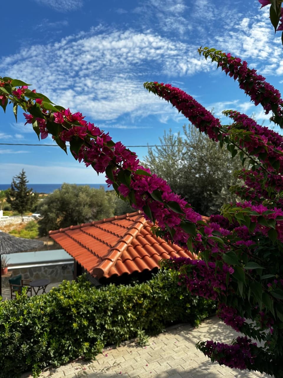 Southern Dreams Apartments Apartment hotel in Rhodes, Greece