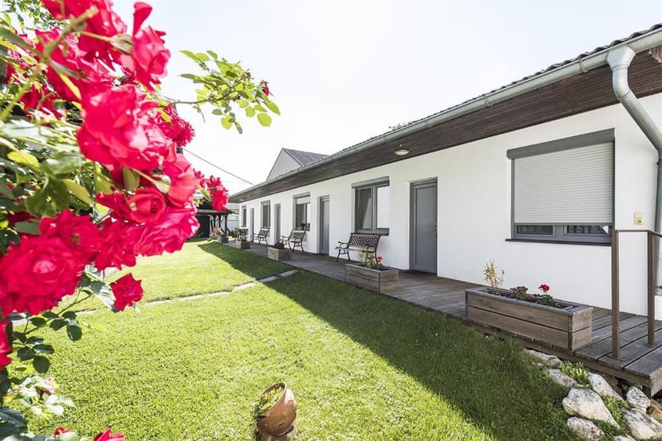 Property building, Patio