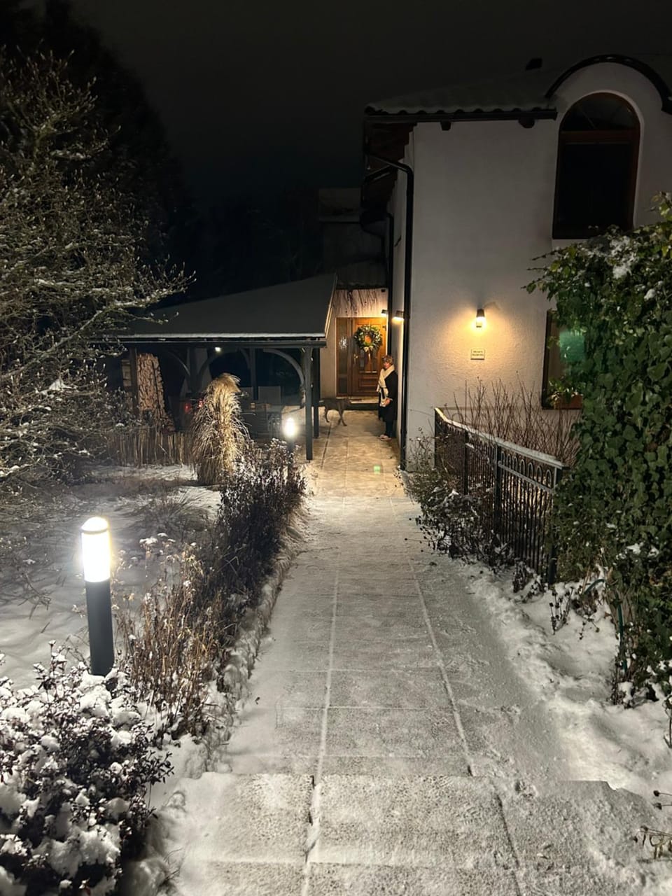 Property building, Night, Winter