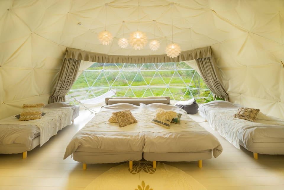 Bed, Photo of the whole room, Bedroom, Area and facilities