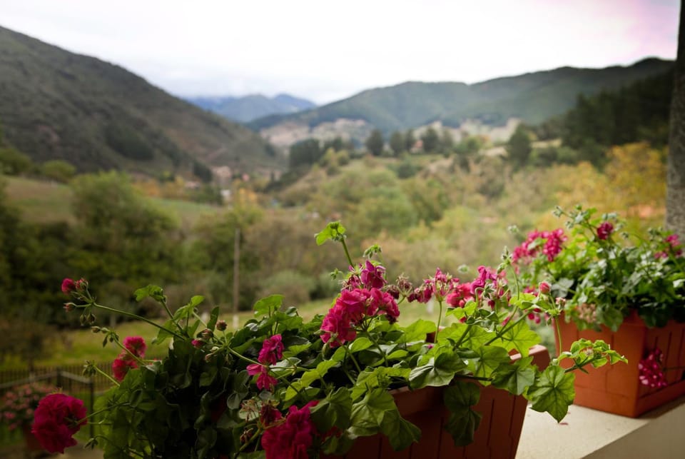 View (from property/room)