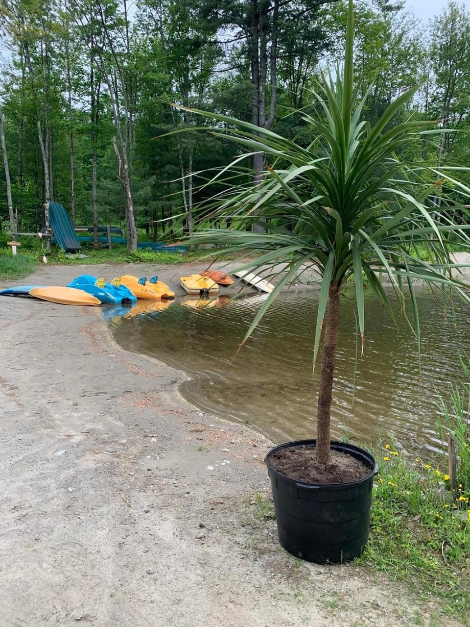 Canoeing