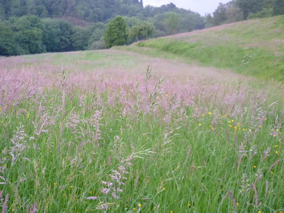 Off site, Natural landscape, On site