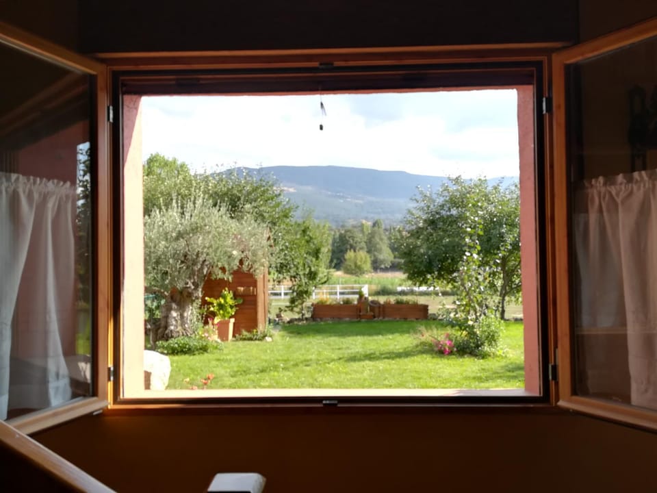 Garden, Garden view, Mountain view