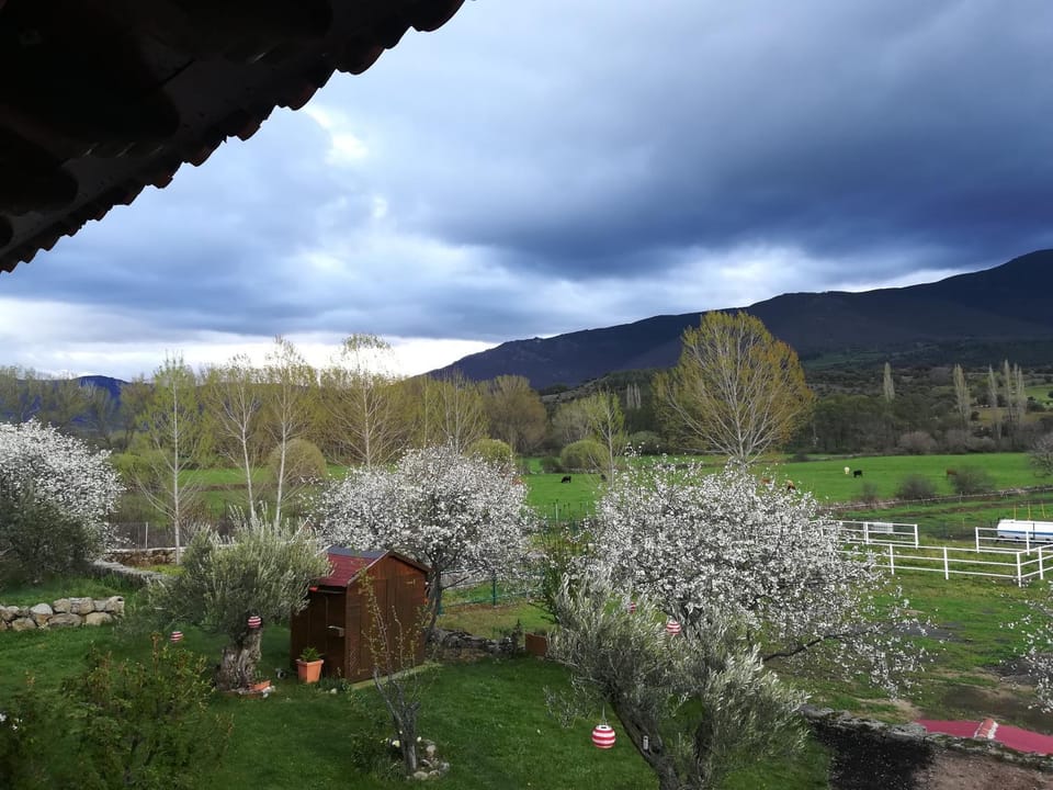 Garden, Garden view