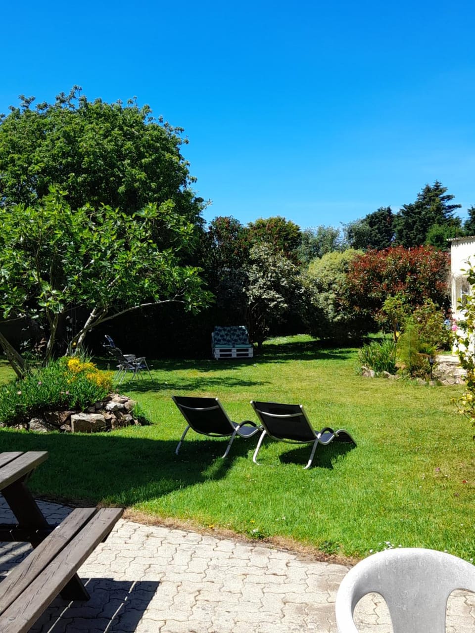 Garden, Balcony/Terrace, Garden view, sunbed