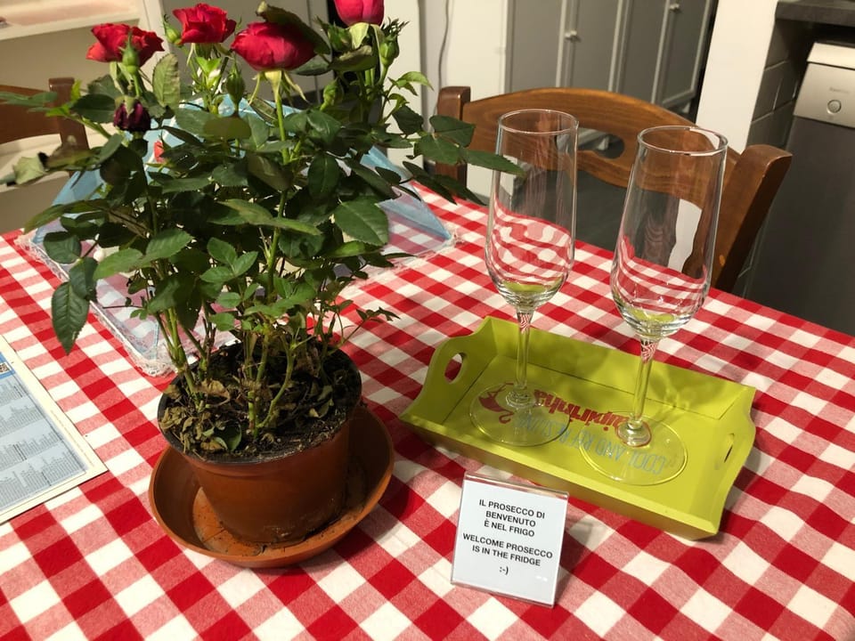 Spring, Day, Decorative detail, Dining area, On site, Drinks