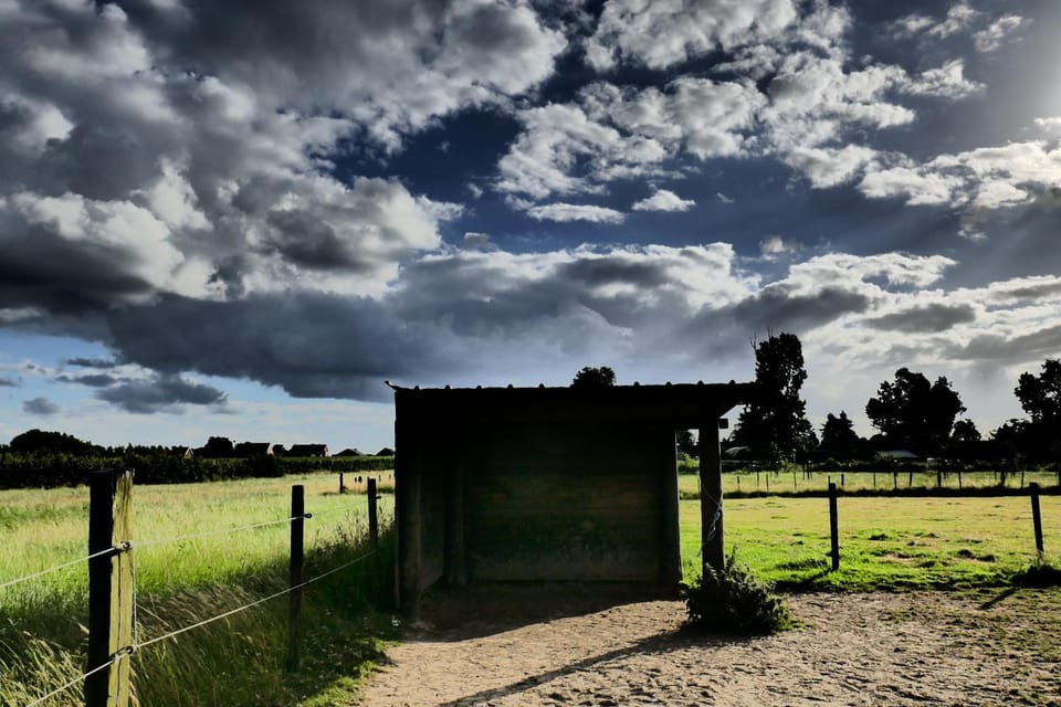 Natural landscape