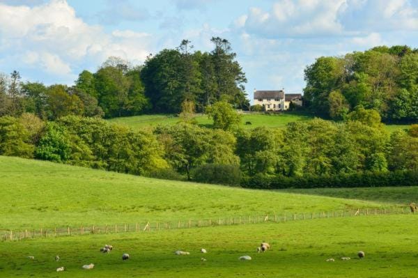 Natural landscape, Garden view