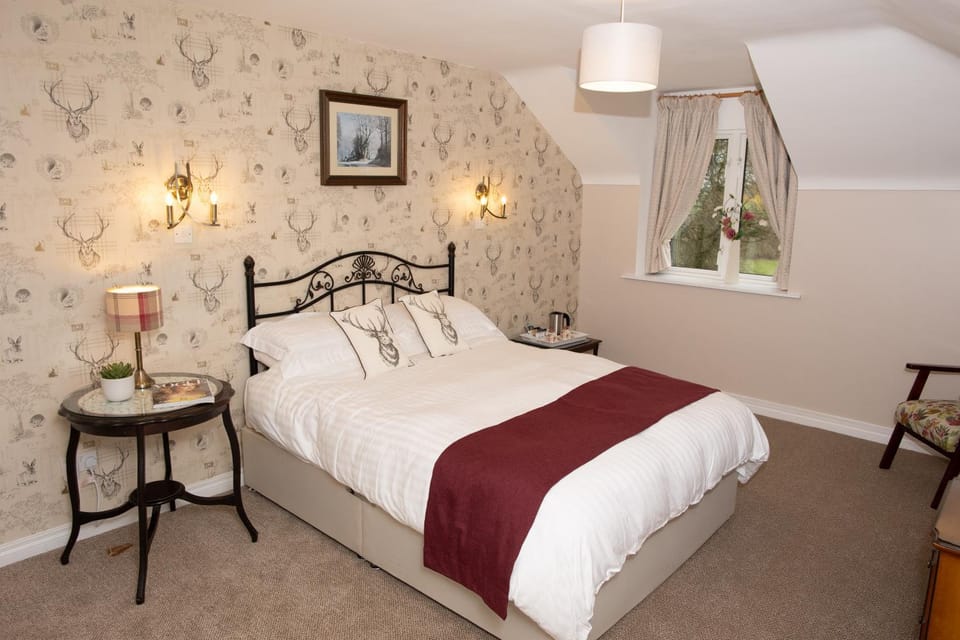 Dromard Guest Accommodation Vacation rental in Northern Ireland