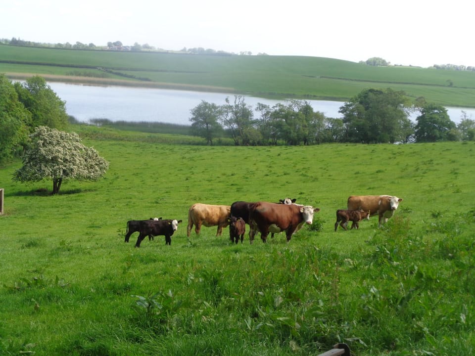 Natural landscape