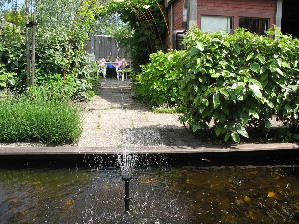 Garden, Garden view