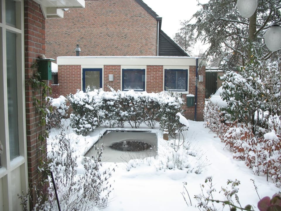 Neighbourhood