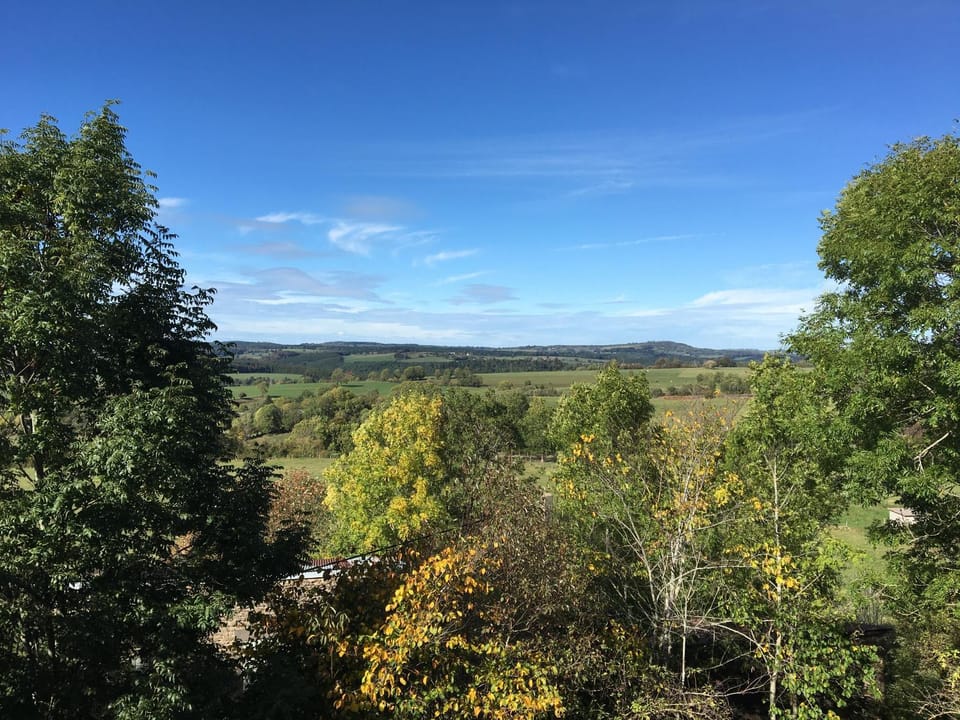 Natural landscape