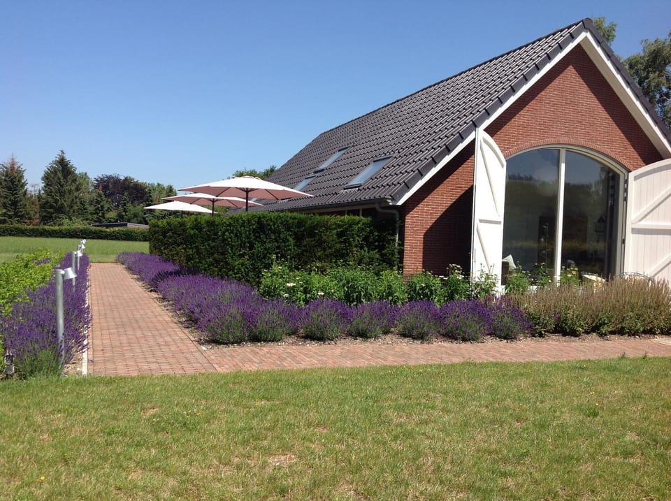 Property building, Garden view