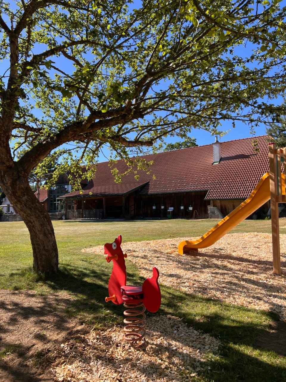 Children play ground
