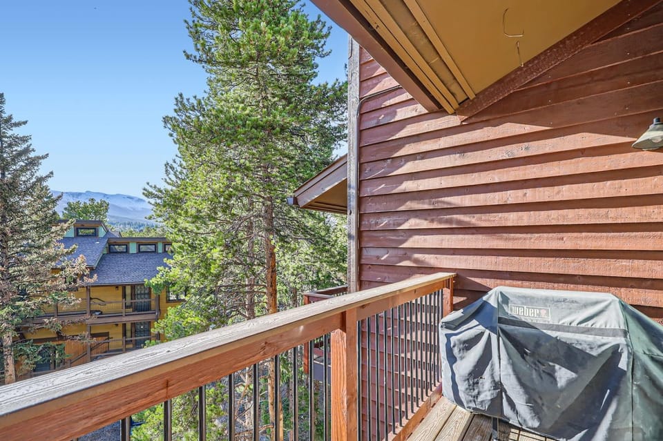 Lance's West 7 Condominium Apartment in Breckenridge
