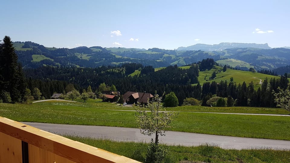 View (from property/room)