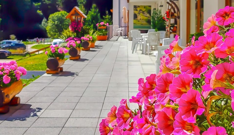 Baita dei Pini Apartment hotel in Canton of Grisons