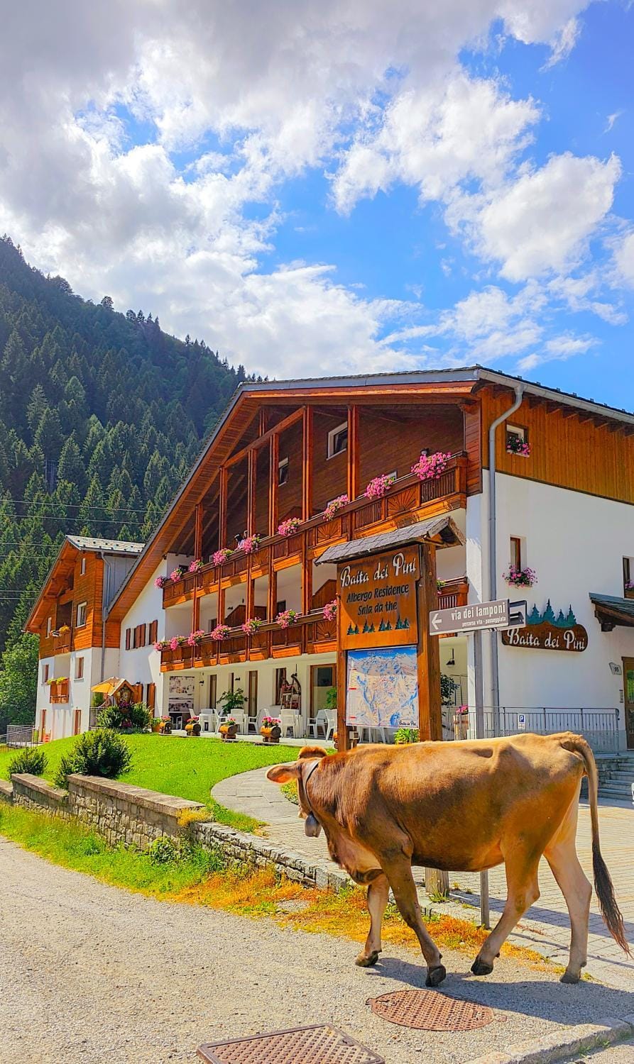 Baita dei Pini Apartment hotel in Canton of Grisons