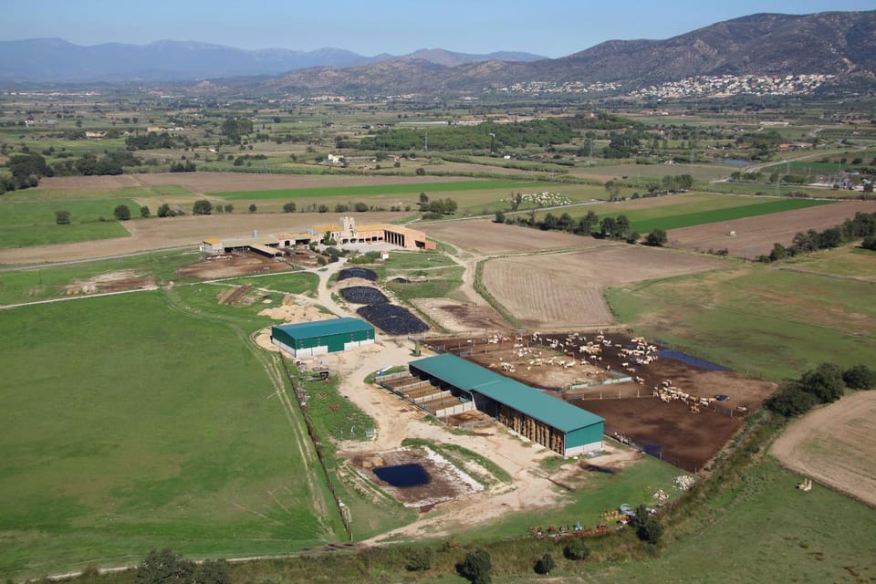 Day, Bird's eye view